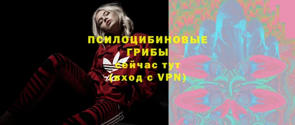 прущие крисы Арсеньев
