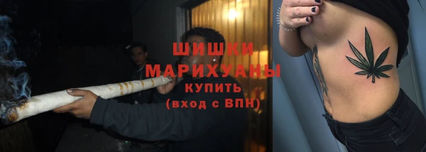 прущие крисы Арсеньев