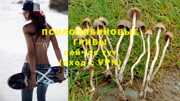 гидропоника Армянск