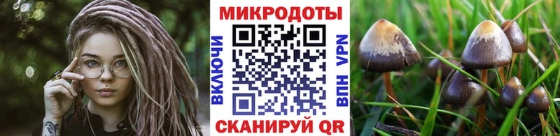 Псилоцибиновые грибы ЛСД  darknet формула  Могоча 